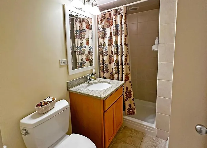 Spacious And Modern 3bd 2ba Home- Garage Parking! Apartment Chicago